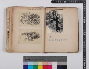 『5巻　p.196-197』の画像