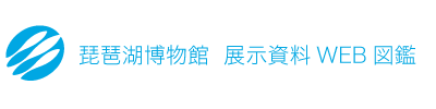 滋賀県立琵琶湖博物館（展示資料）　展示資料WEB図鑑