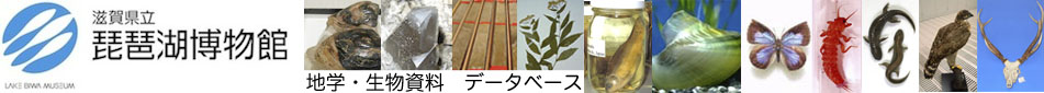 滋賀県立 琵琶湖博物館　生物・地学データベース