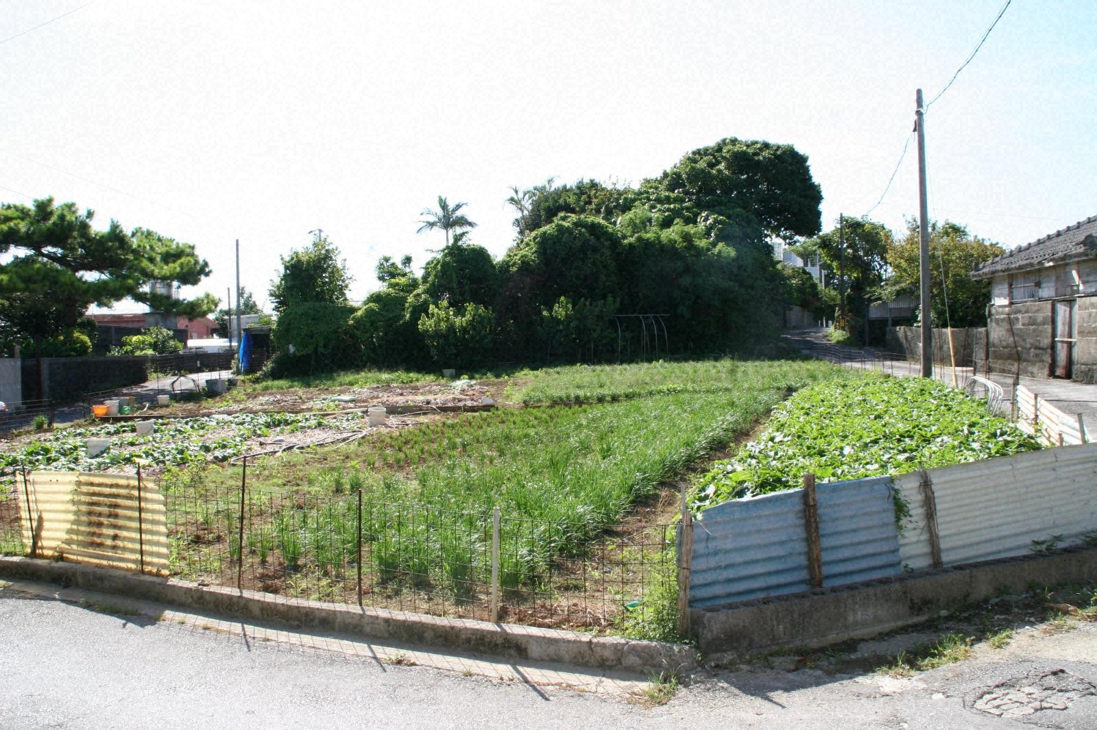 『嘉数_嘉数原遺物散布地』の画像