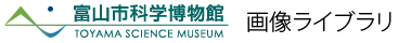 富山市科学博物館　画像ライブラリ